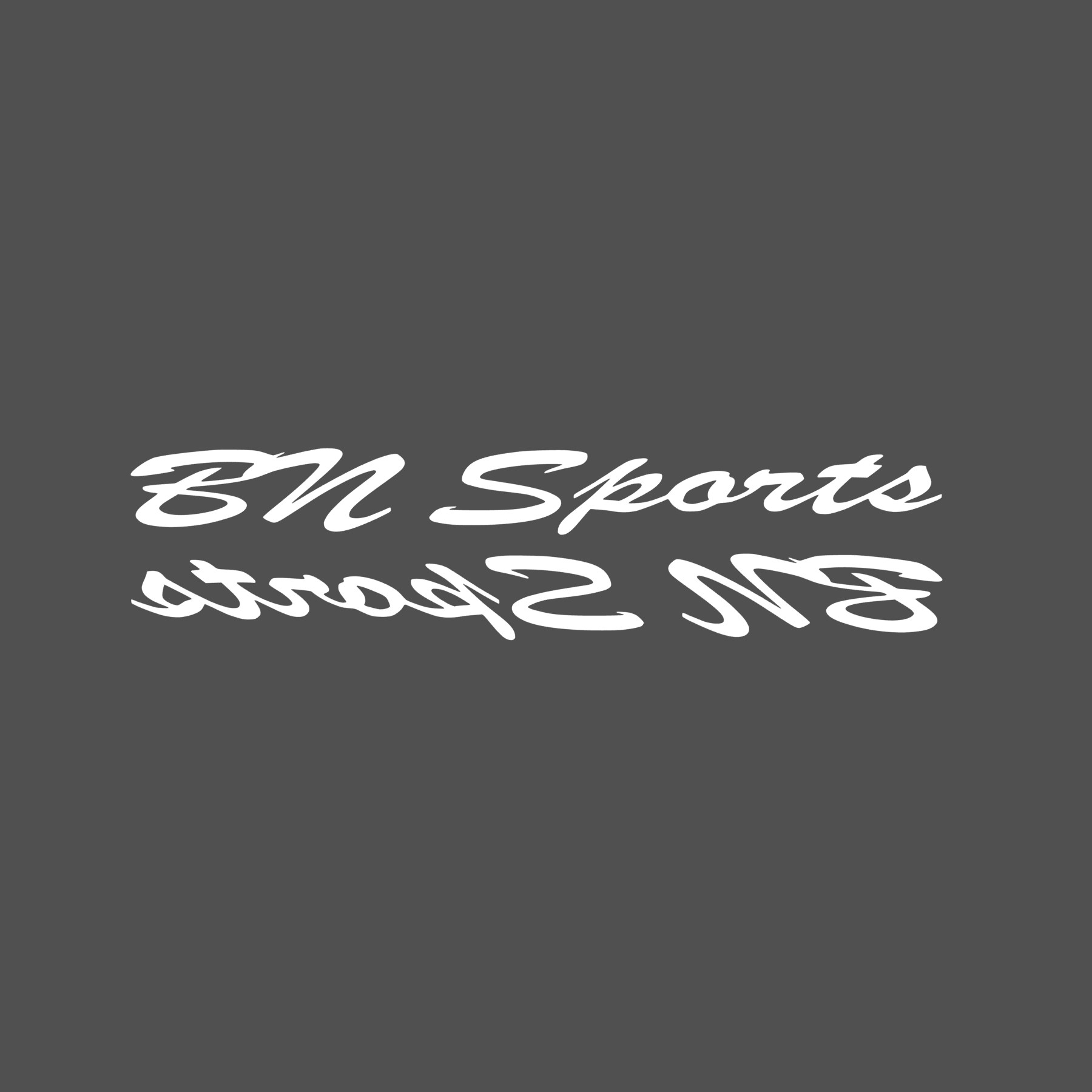bn sports BN Sports Side Skirt (Pair)